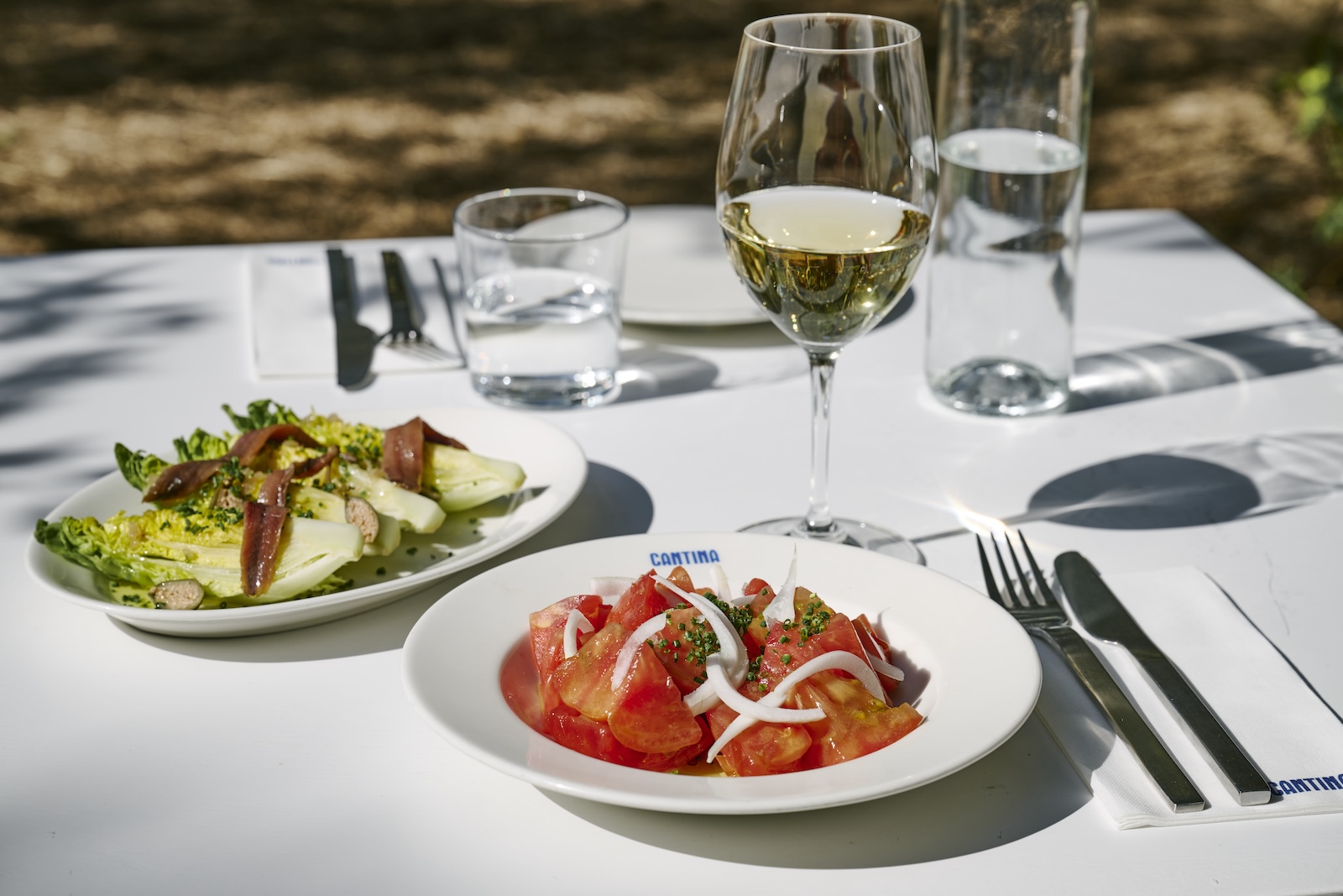 Cantina_Daniel_Schafer_2024 13