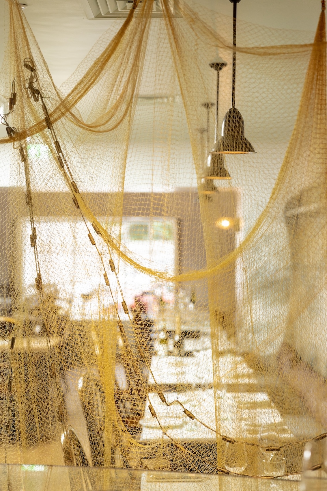 Netting at Fish Shop