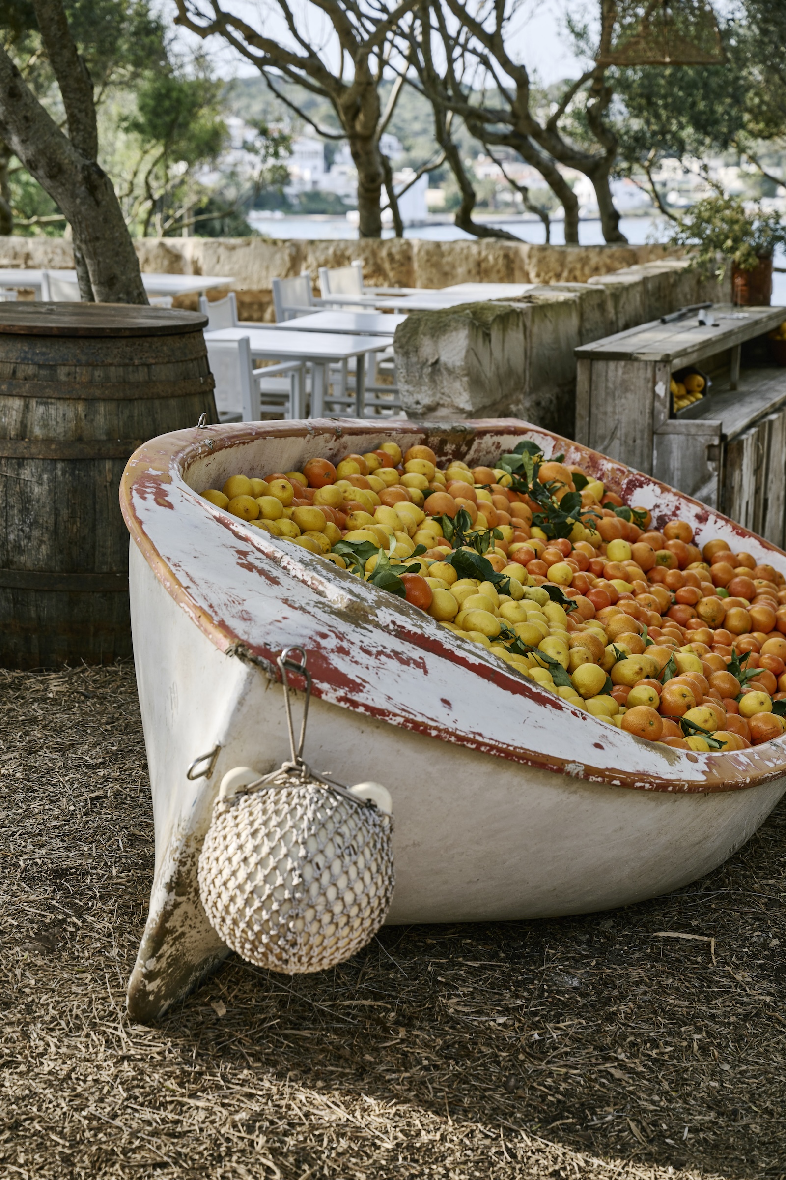 H&W_Menorca_May24_Daniel_Schäfer_Daniel_Schäfer__034