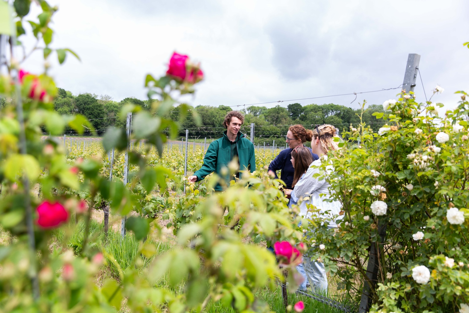 Open Farm Sunday 2024-2